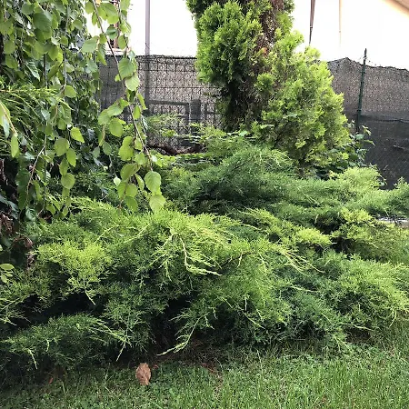 度假居 My Beautiful 卡瓦尔卡瑟勒